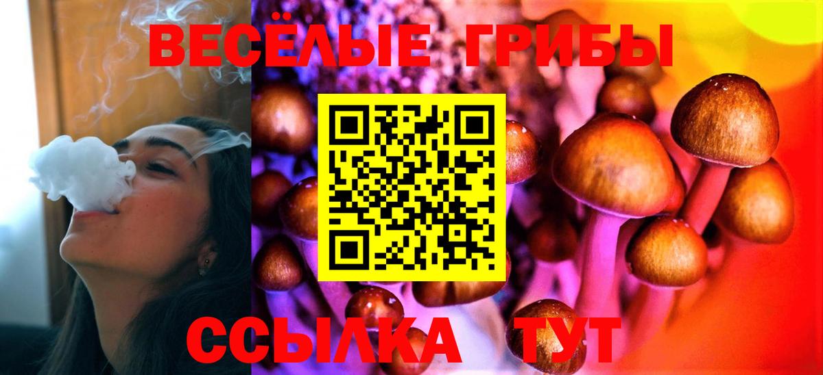 Псилоцибиновые грибы GOLDEN TEACHER  Вход с VPN  Нижний Новгород 
